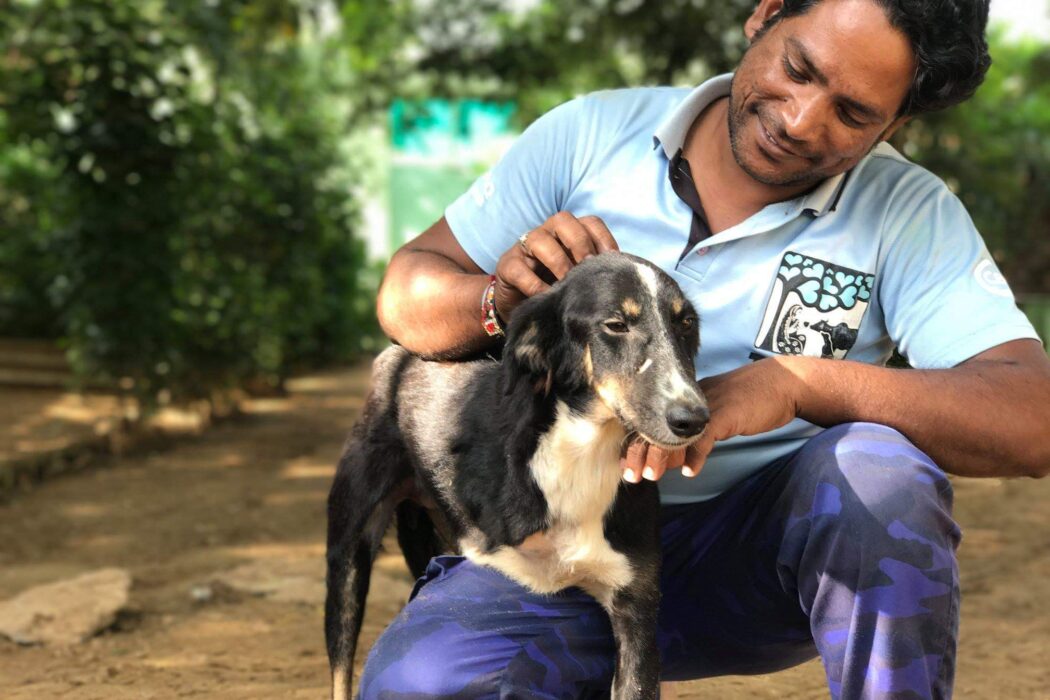 A team member smiling and hugging an amputee dog