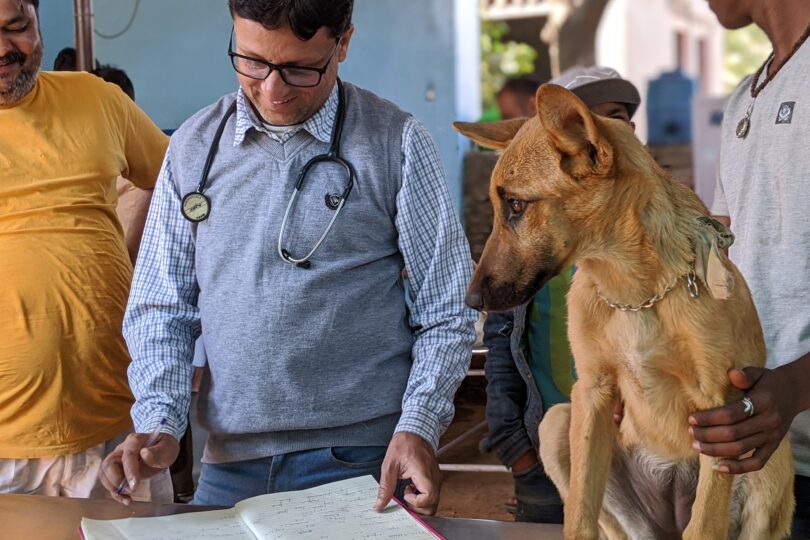 Dr Aftab with an owned dog in the dispensary