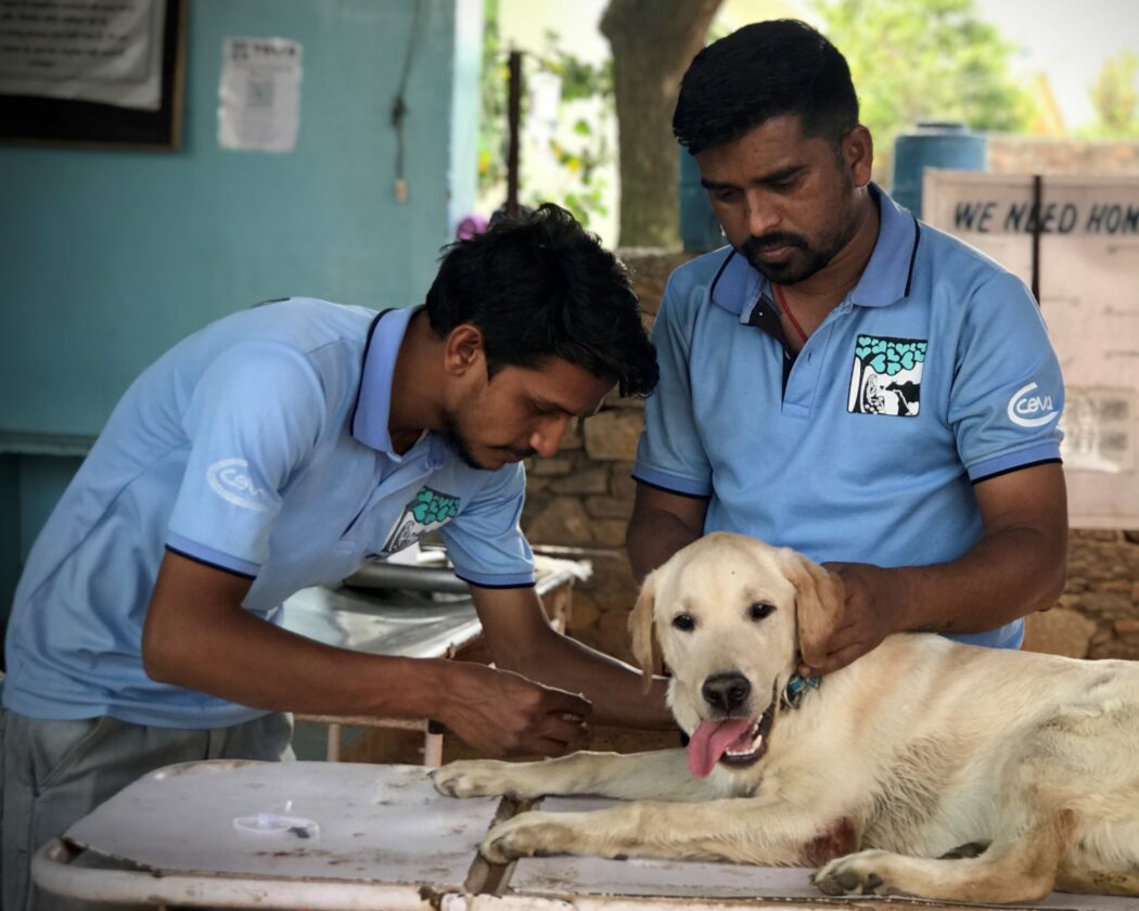 Two TOLFA team members with a labrador