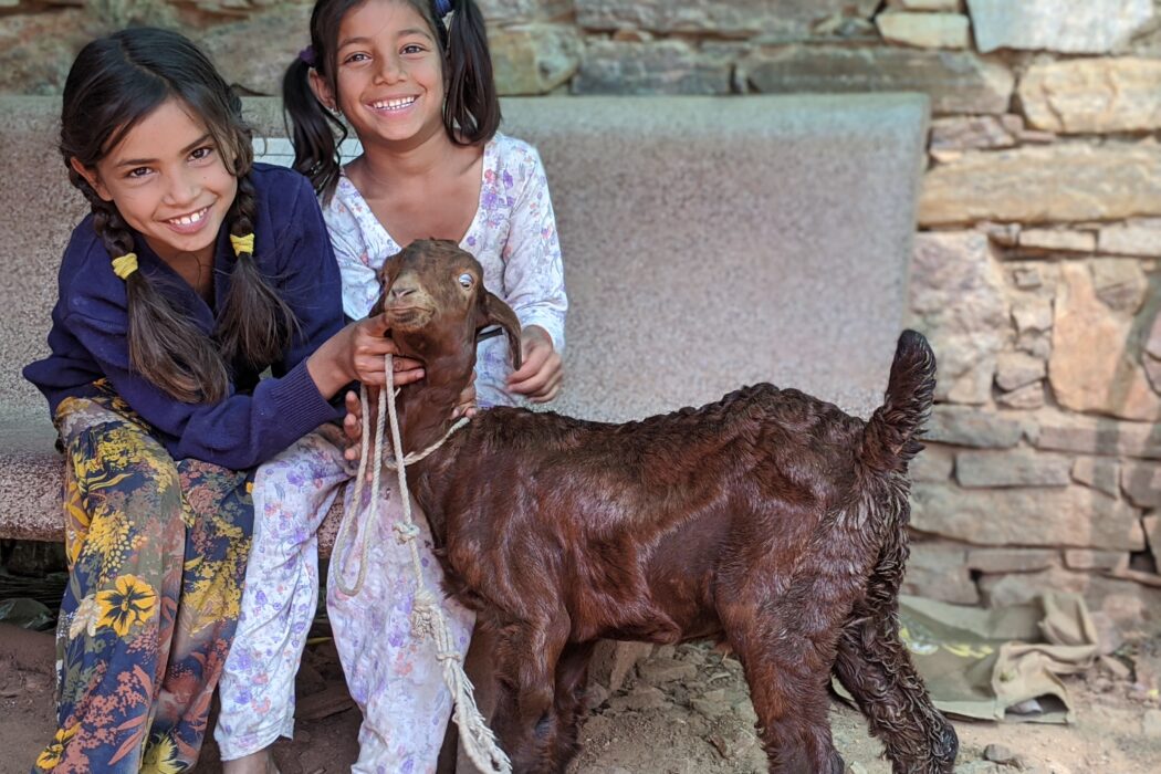 Two girls in the dispensary with a brown kid goar
