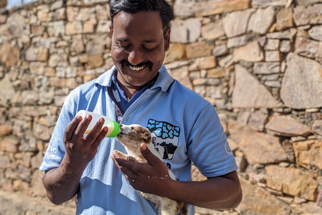 Team member Bunty bottle feeding a small puppy outside