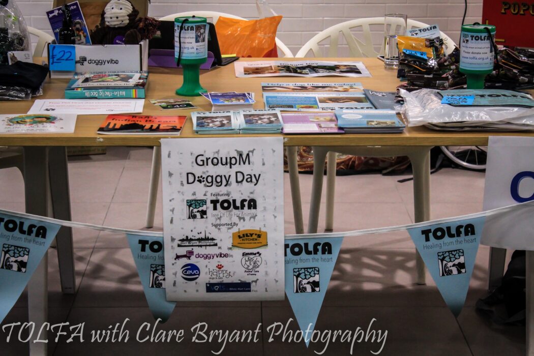 Fundraising table spread with TOLFA leaflets and bunting