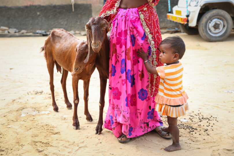 Indian woman standing with a child and a goat