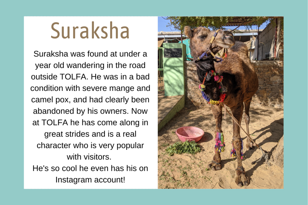 Bio graphic for Suraksha