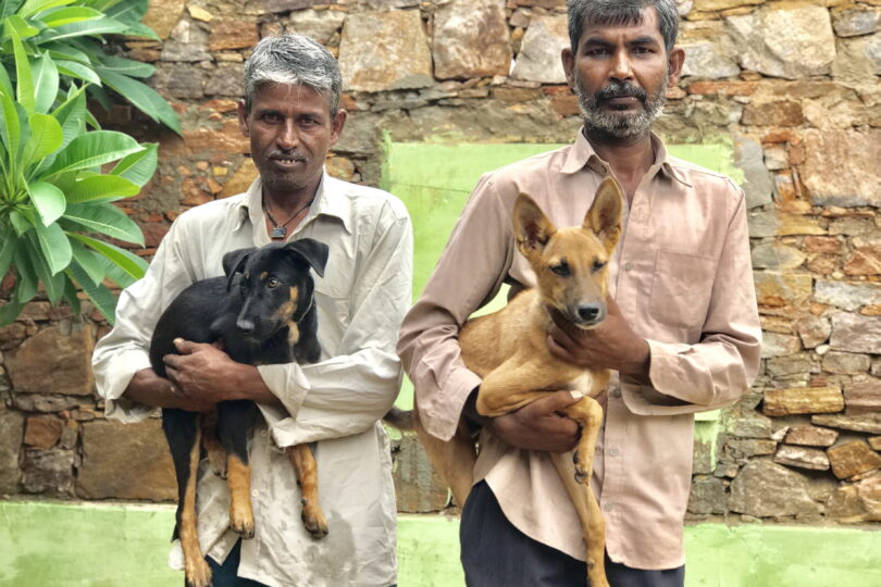 Two Indian village men standing holding a puppy each - one tan and one black and tan