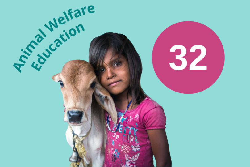 Graphic showing Education project impact