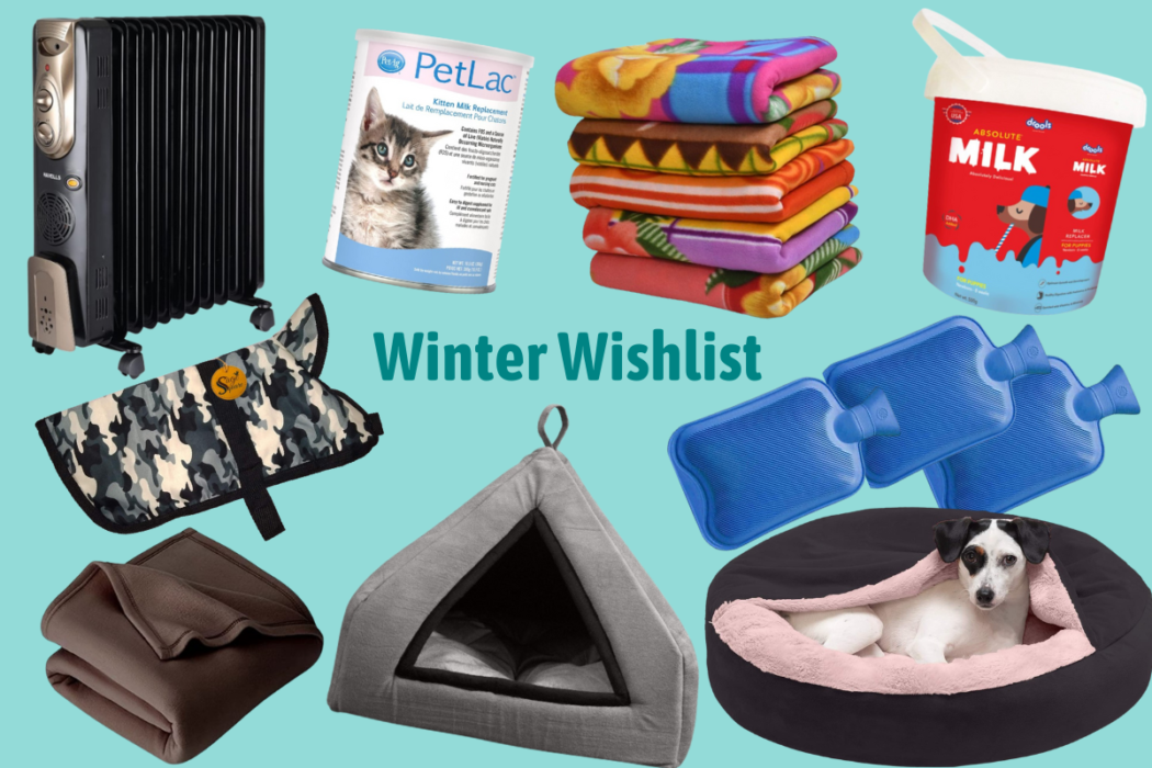 Graphic of winter wishlist items