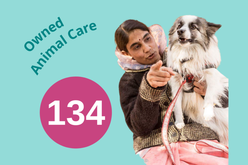 Graphic showing an owner and their dog with the number 134