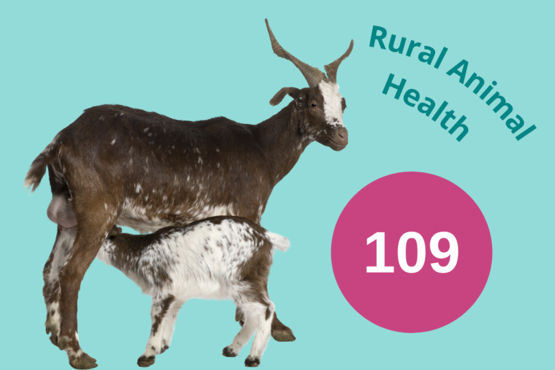 Graphic showimg a mother goat and kid with the number 109