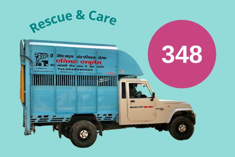 Graphic showing TOLFA rescue vehicle and the number 348
