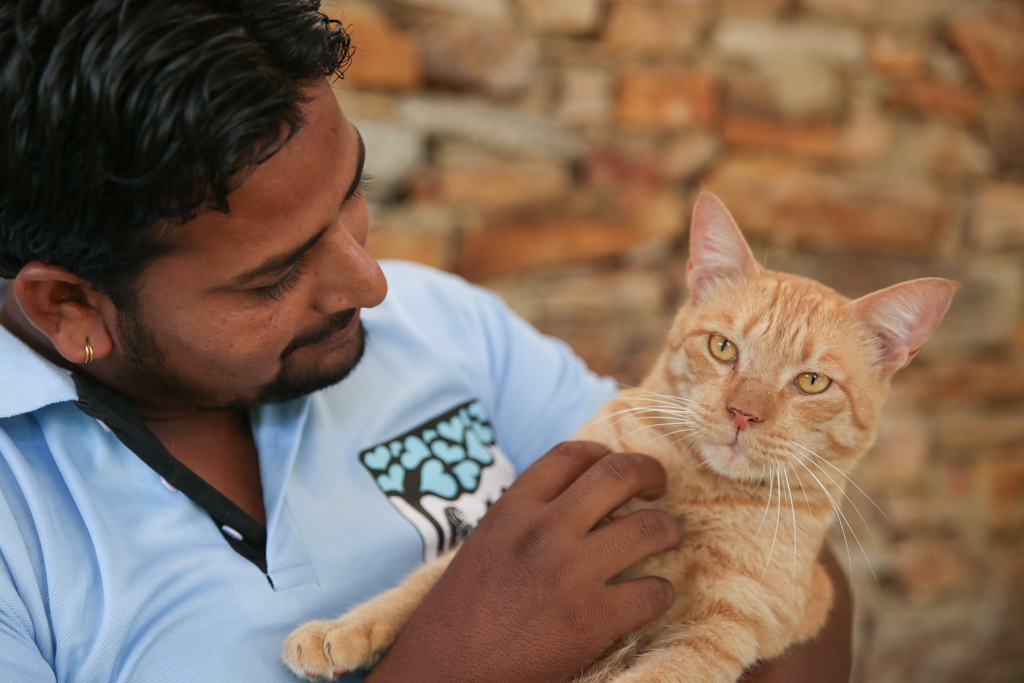 TOLFA staff member lovingly holding a ginger cat